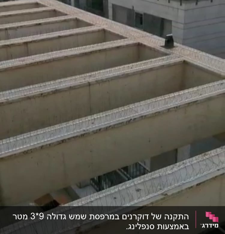 קוצים למניעת יונים על גג בניין